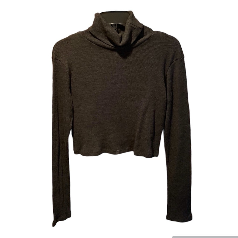Zara Trafaluc Cropped Turtleneck in Charcoal Medium